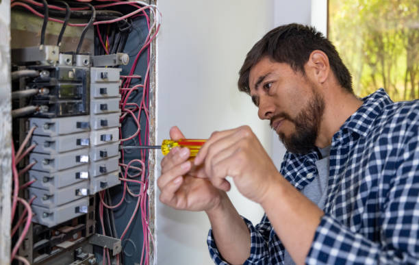 Best Electric Panel Repair  in Wendell, NC